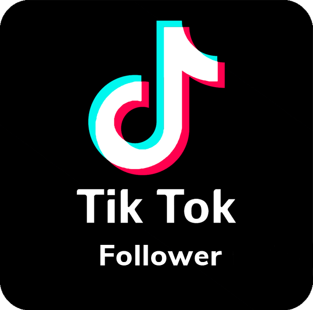 Tik Tok Followers