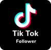 TIK TOK FOLLOWERS