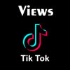 Tik Tok Views